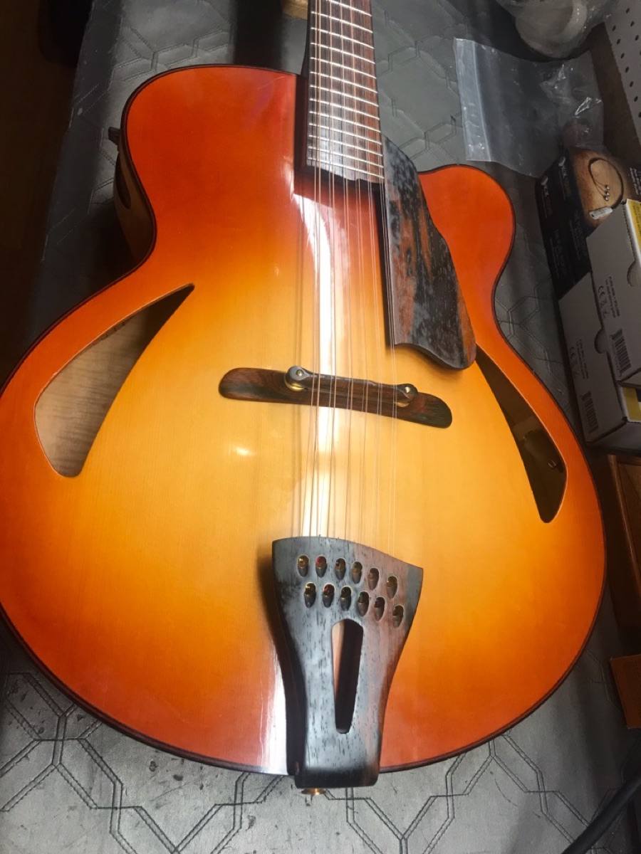 1996 Manzer 12-String instrument photograph