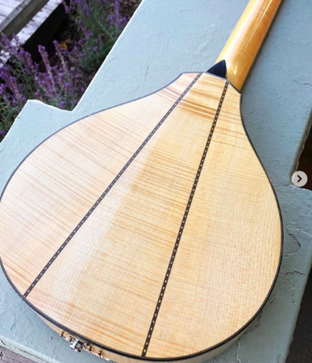 1980 Grit Laskin Cittern instrument photograph