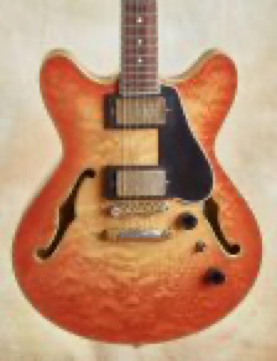1996 Ribbecke Testadura instrument photograph