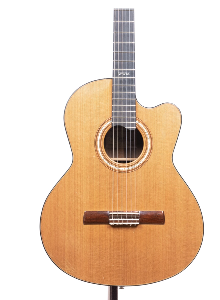 2014 Manzer Nylon instrument photograph