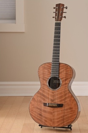 2018 Connor Steel String instrument photograph